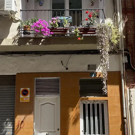Apartamento Carlota Alicante